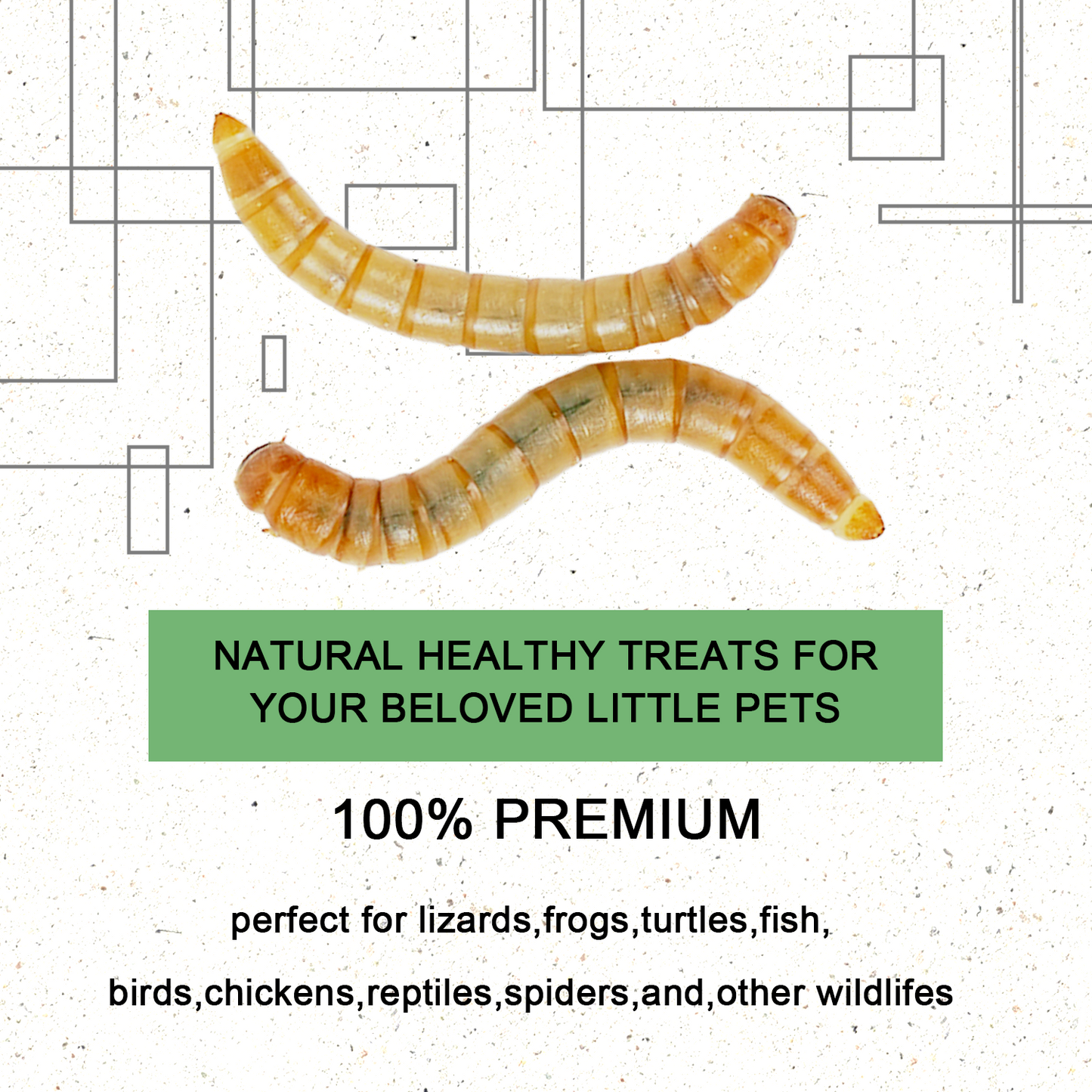 Live Mealworms 1000 Count Free Shipping in Box with Bran and Tweezer for Reptile Food