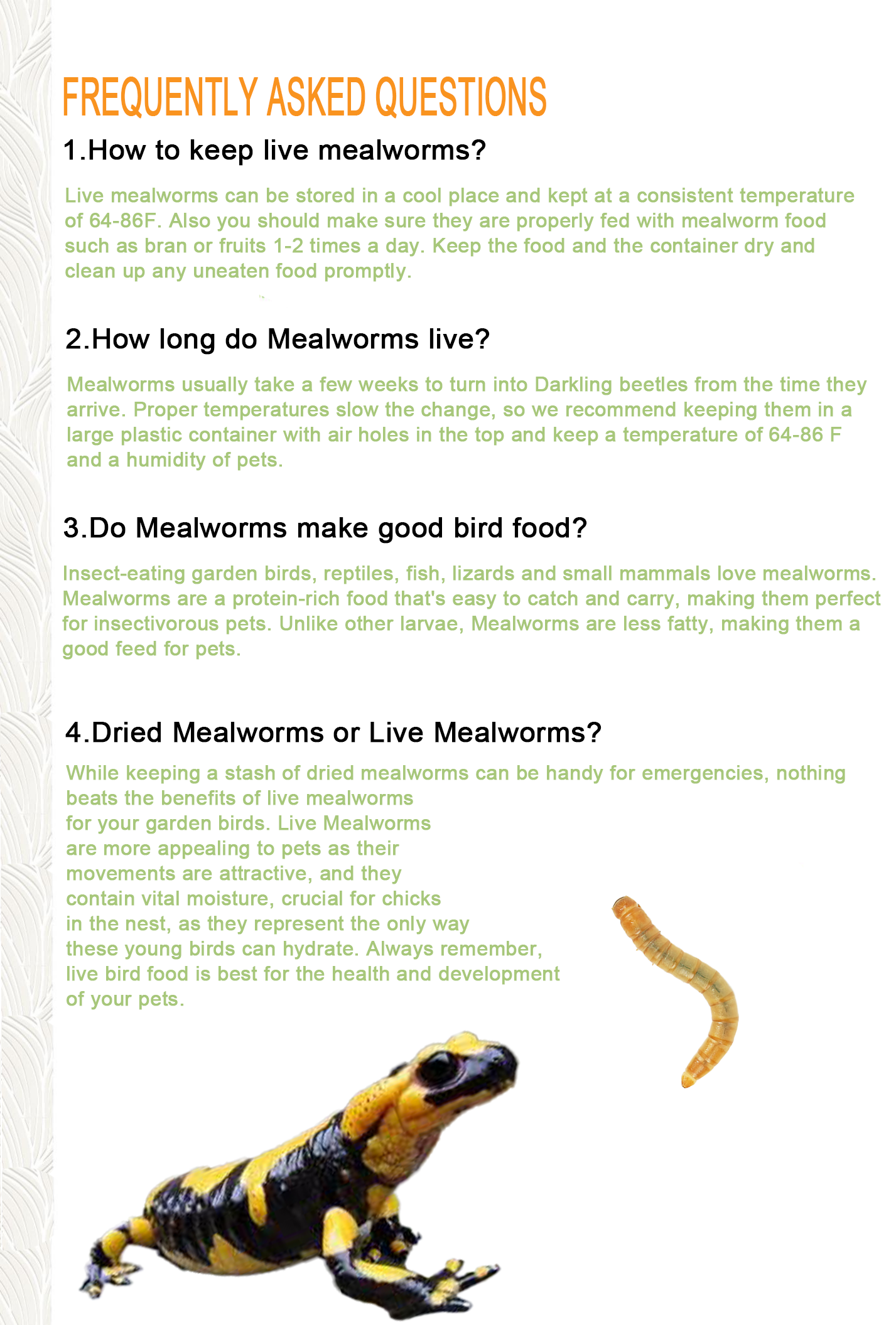 Live Mealworms 1000 Count Free Shipping in Box with Bran and Tweezer for Reptile Food