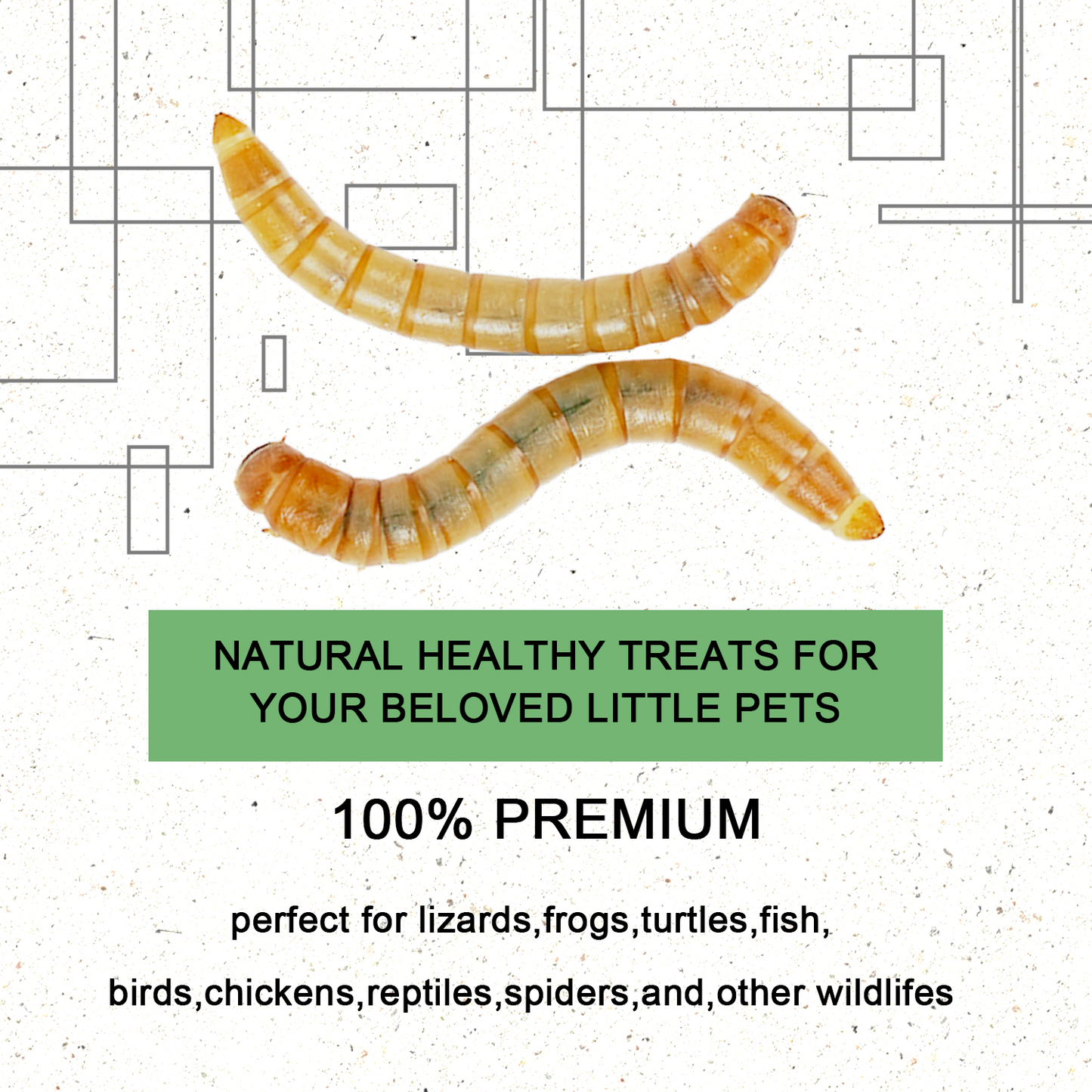 Live Mealworms 2000 Count Free Shipping in Box with Bran and Tweezer for Reptile Food